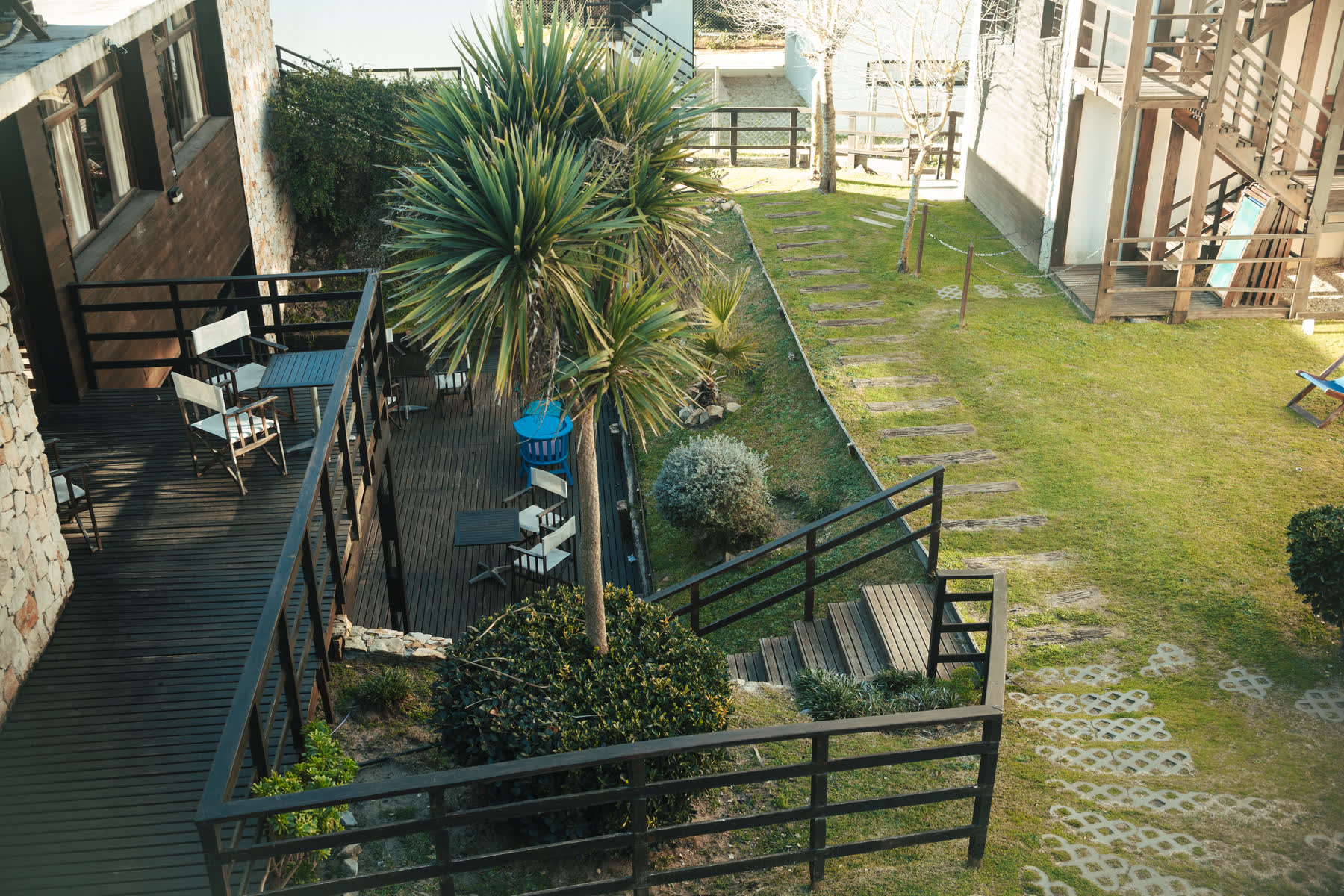 El jardín, con las palmeras y las reposeras